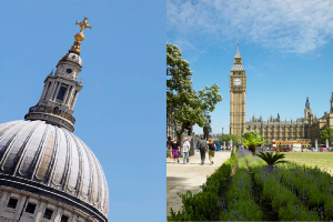 Smallbone of Devizes - Director