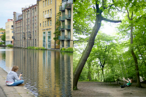 Smallbone of Devizes - Director